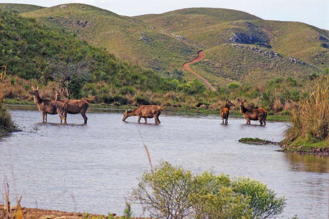 Rincon De Los Matreros Isla Patrulla ภายนอก รูปภาพ